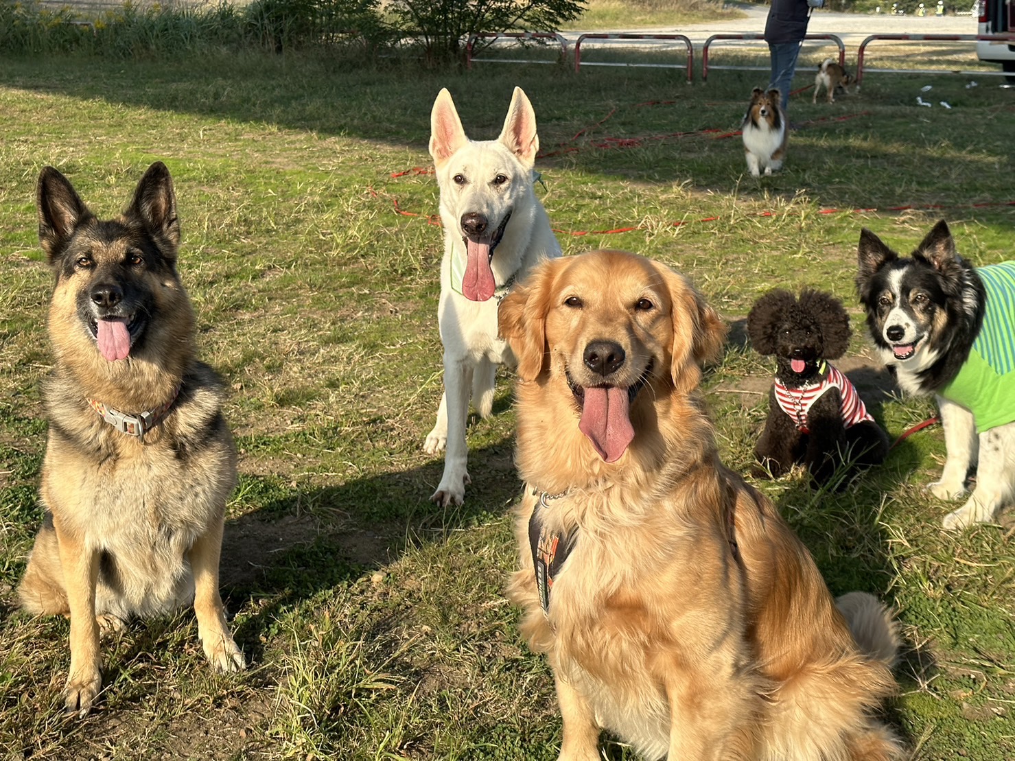 愛犬家・愛猫家・住宅相談